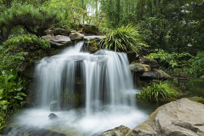 green, rock, tree, tropical Rainforest, flowing Water, land, 5K, forest, green plants, near, blurred motion, landscape, green Color, beauty In Nature