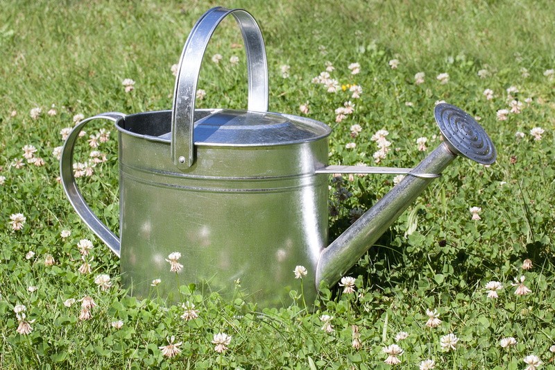 stainless, grass, sheet, gardening equipment, meadow, sprinkler, container, steel, land, kitchen utensil, field, garden, zinc plated, watering can, household equipment