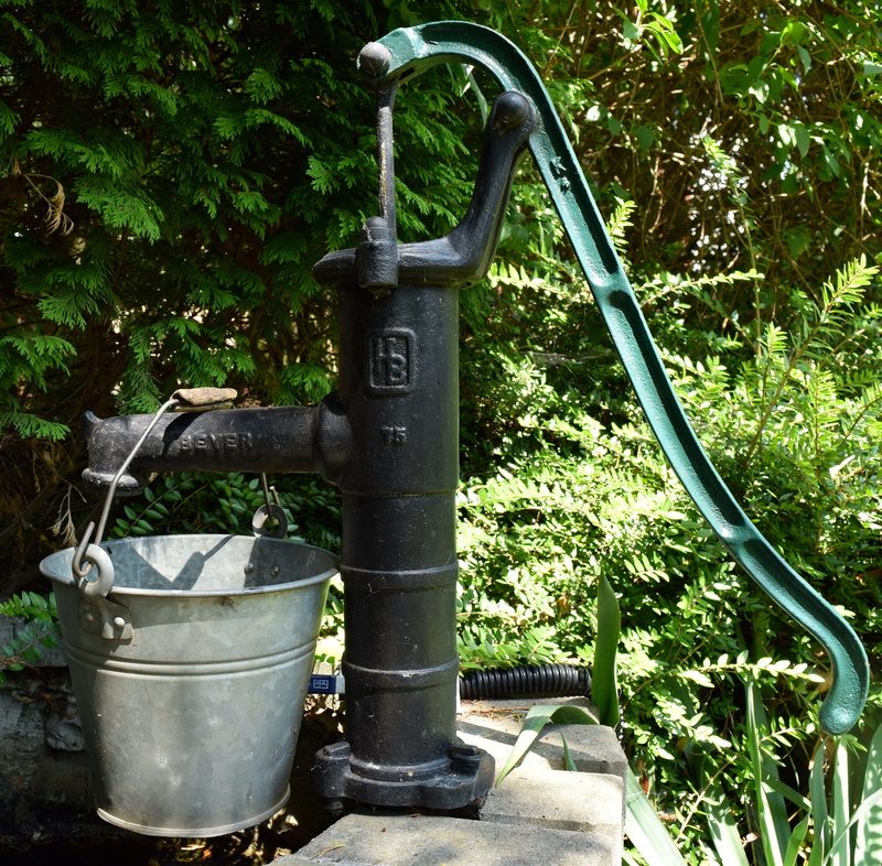 water, garden irrigation, green color, irrigation, faucet, 4K, pipe - tube, hand, outdoors, flow, bucket, land, no people, wet, day, gray, casting, plant