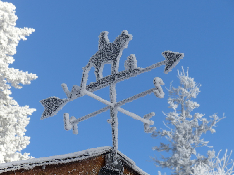 wind, no people, plant, sky, weather, cold, weathercock, winter, outdoors, roof, building exterior, flower, ice, season, metal, sign, snow, clear sky, weathervane