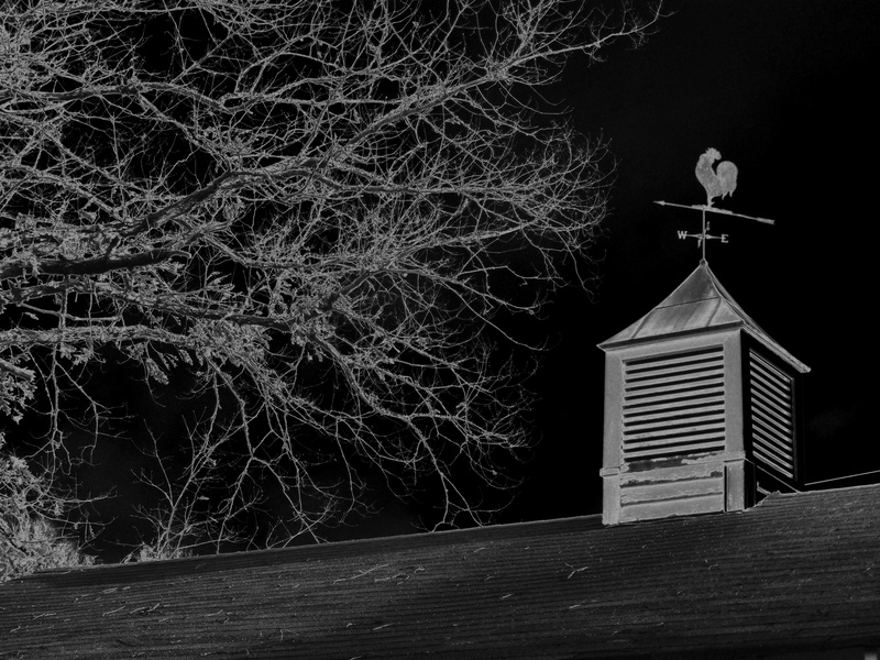 building exterior, branches, marrowbone, night, low angle view, picture, spirituality, branch, wind, dark, wind direction indicator, black, fall, trees