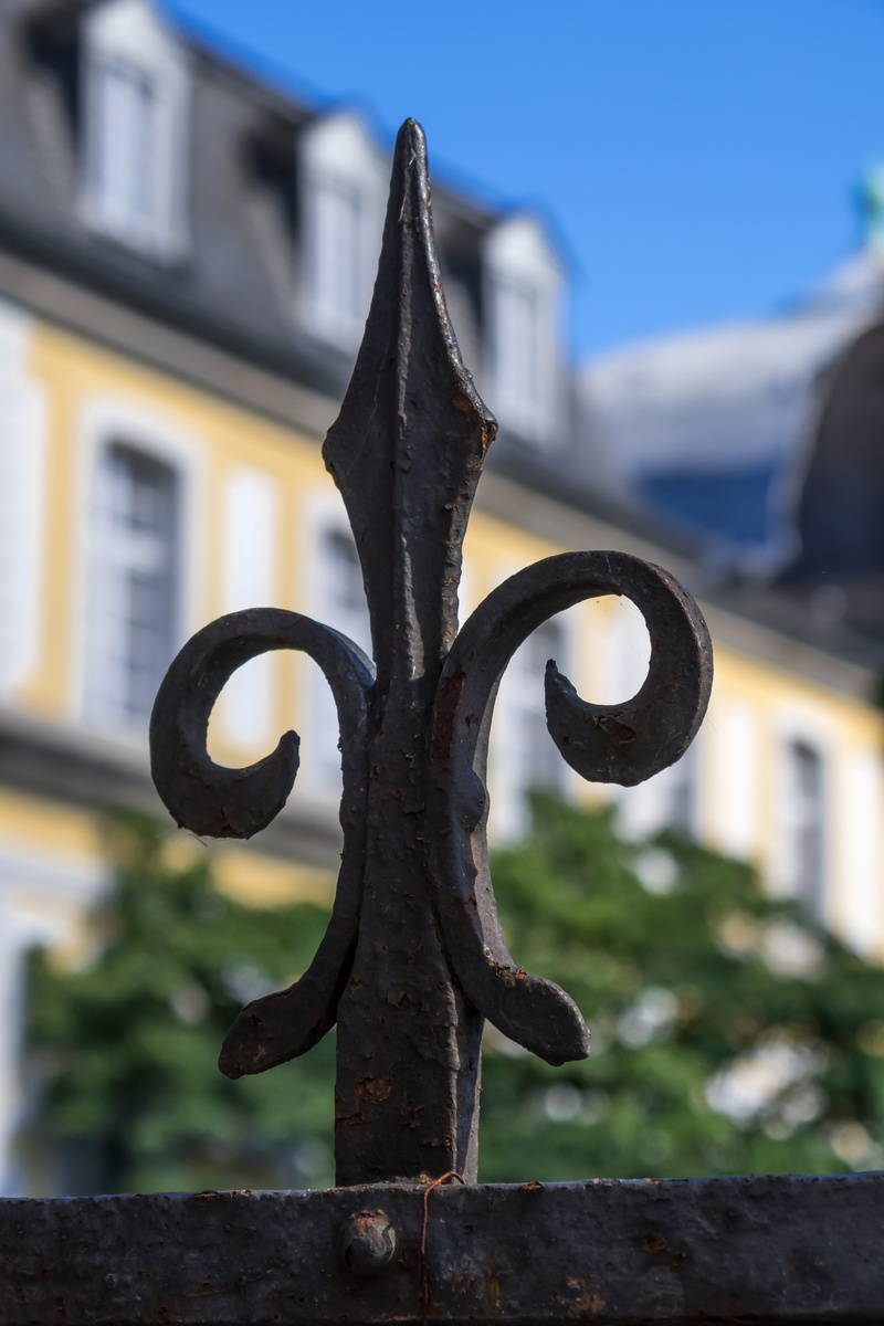 ornament, form, fencing, defense, bonn, gate, metal fence, built structure, border, no people, poppelsdorfer schloss, security, iron - metal, rusty, day