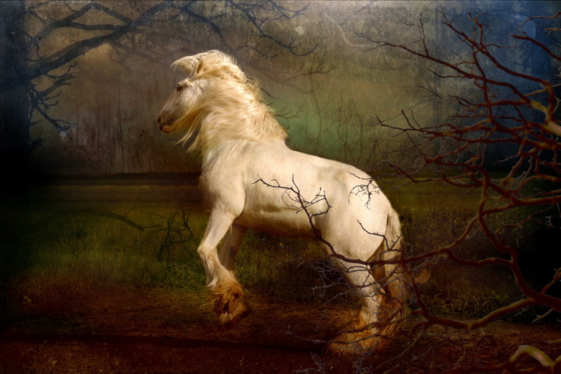 5K, halloween, magic, rearing, plant, power, lion - feline, animal, side view, horse, white, bucking, moonlight, mane, mammal, action, equine, sleepy hollow