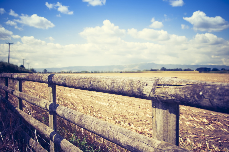 tranquility, no people, nature, matamata, coutryside, field, boundary, safety, landscape, environment, sky, day, 4K, barrier, protection, farm, cloud - sky