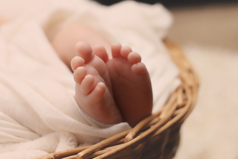 human foot, toes, child, indoors, newborn baby, tiny, basket, small, born, feet, human body part, young, body part, barefoot, photo, infant, health, white
