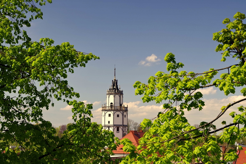 old town, tree, architecture, townhouses, religion, building exterior, sky, travel destinations, monuments, park, poland, the city centre, green color