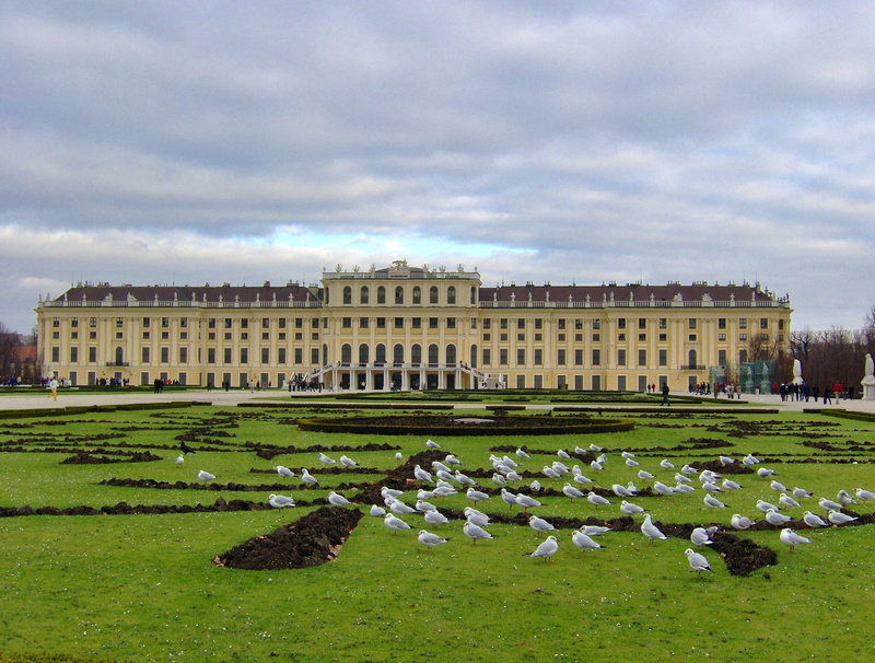 lawn, structure, the past, sky, outdoors, travel destinations, architecture, ornamental garden, cloud - sky, summer, city, incidental people, Palace, vienna