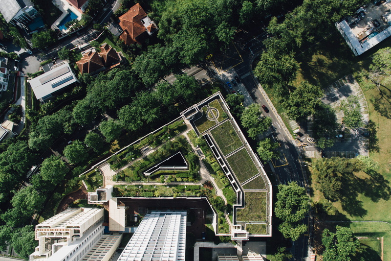 trees, house, green, 4K, leaf, aerial, building, no people, outdoors, aerial View, plant, built Structure, green color, day, residential district, roof