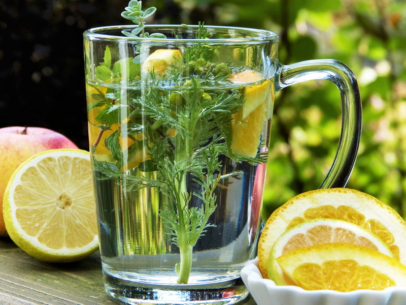 mint leaf - culinary, health, table, pitcher - jug, lemon, virus, close-up, cold, slice, bio, flu, chamomile, drinking glass, folk medicine, fruit, glass - material