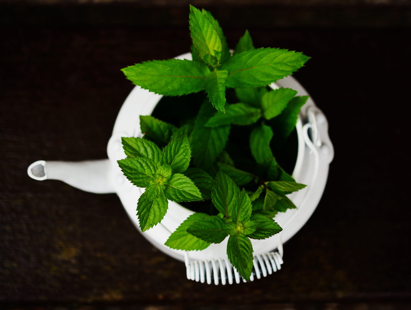 taking, no people, taste, Peppermint, black background, refreshment, plant, healthy, bless you, indoors, healing, drink, still life, herbs, aroma, wellbeing