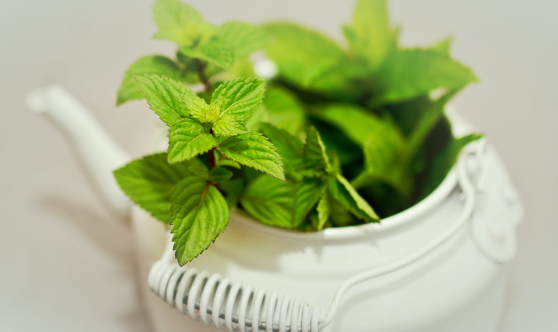 food, peppermint tea, herbs, peppermint, healthy eating, no people, medicine, focus on foreground, selective focus, tea herbs, nature, teapot, leaves, tee
