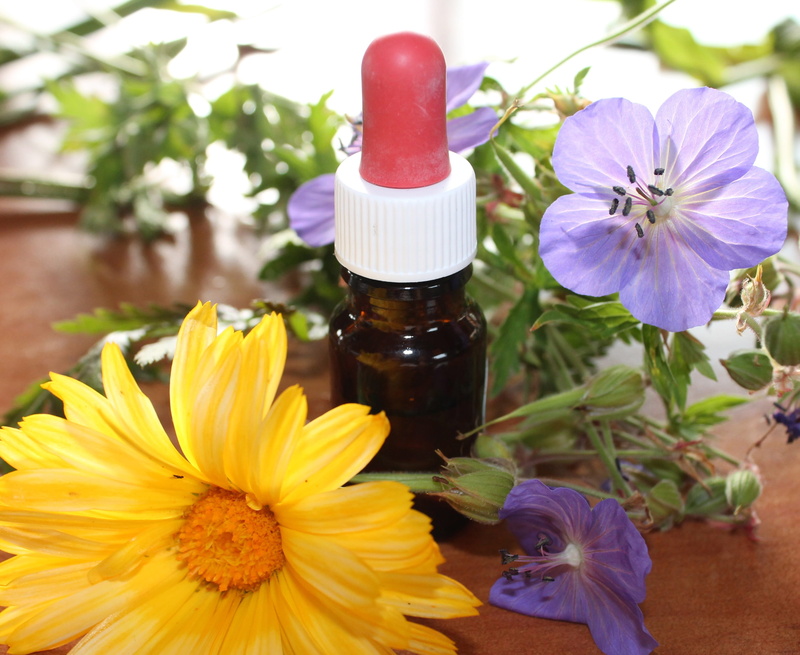 medical, growth, alternative medicine, petal, botanical, focus on foreground, container, flower essences, fragility, assorted, beauty in nature, treatment