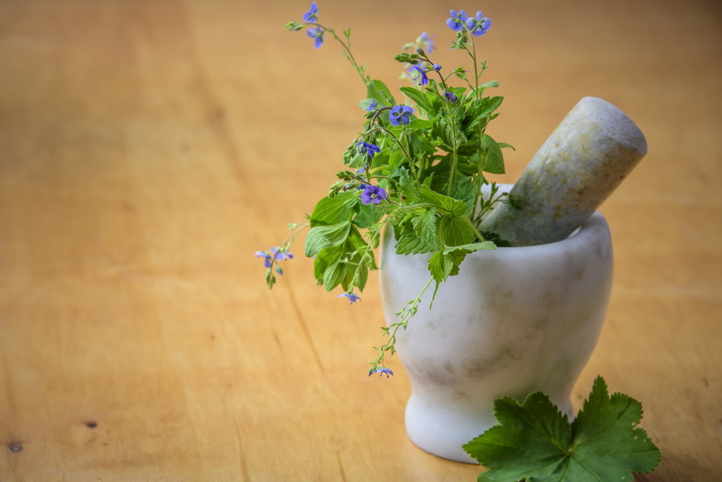 close-up, the provisions of the, natural medicine, herbs from the meadow, herbal Medicine, table, food and drink, indoors, ecology, 5K, plant, food, cleaning