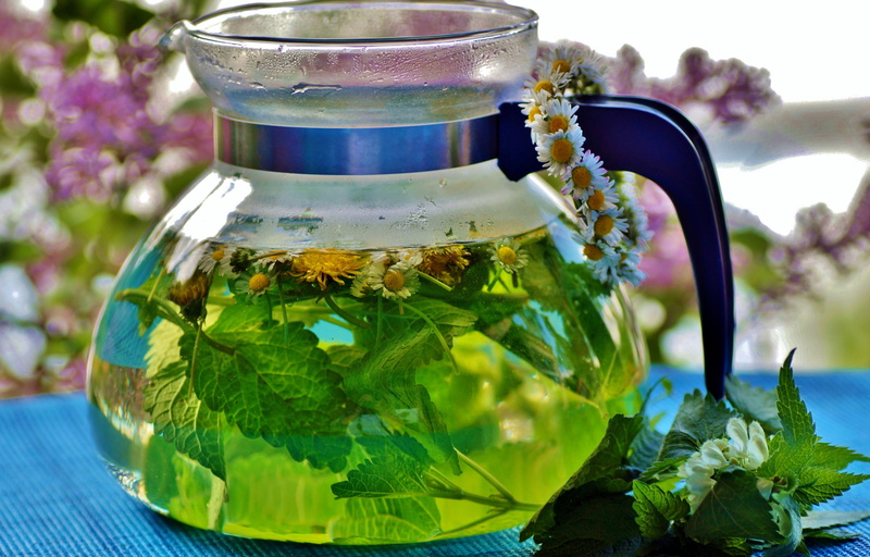 tea, fresh, plant part, jug, healing, glass - material, nature, outdoors, hot, refreshment, no people, glass, food, drink, leaf, herbs, herb, close-up