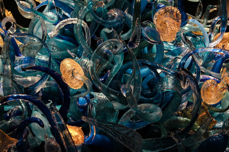 invertebrate, bubble, chihuly garden and glass, group of animals, sea anemone, close-up, food and drink, animal themes, water, no people, meal, large group of objects