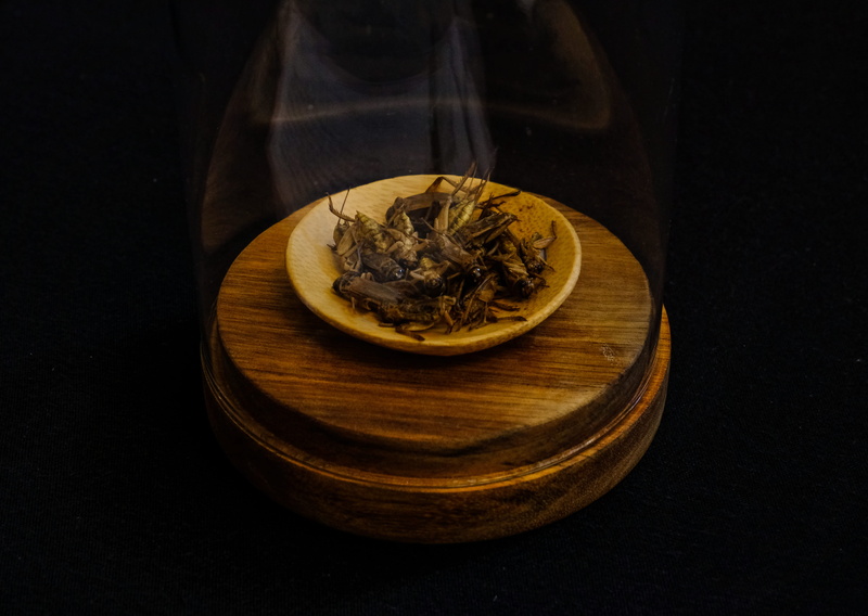 art, plant, food and drink, tea leaves, food, porcelain, drink, herbal medicine, bowl, furniture, studio shot, alcohol, 5K, no people, still life, insect