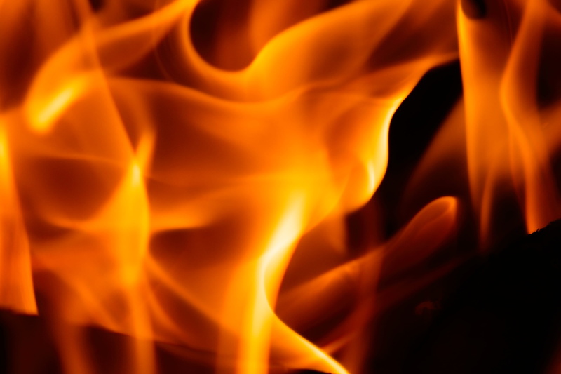 nature, indoors, no people, fire - natural phenomenon, fire, cricket insect, bonfire, ornament, hearth, mammal, orange color, red, burning, black color