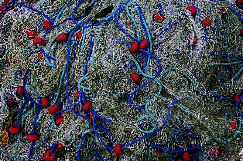 fern, ornament, plant, close-up, stitch, invertebrate, connection, sea anemone, embroidery, day, electronics, art, 2K, commercial fishing net, complexity