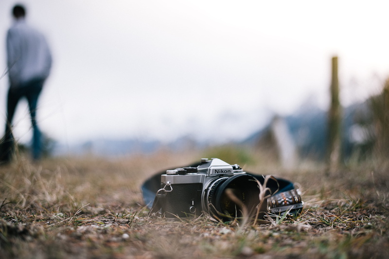 nature, invertebrate, ground, gray, flora, close-up, animal, camera, offroad, activity, reptile, photographic equipment, surface level, grass, sea life