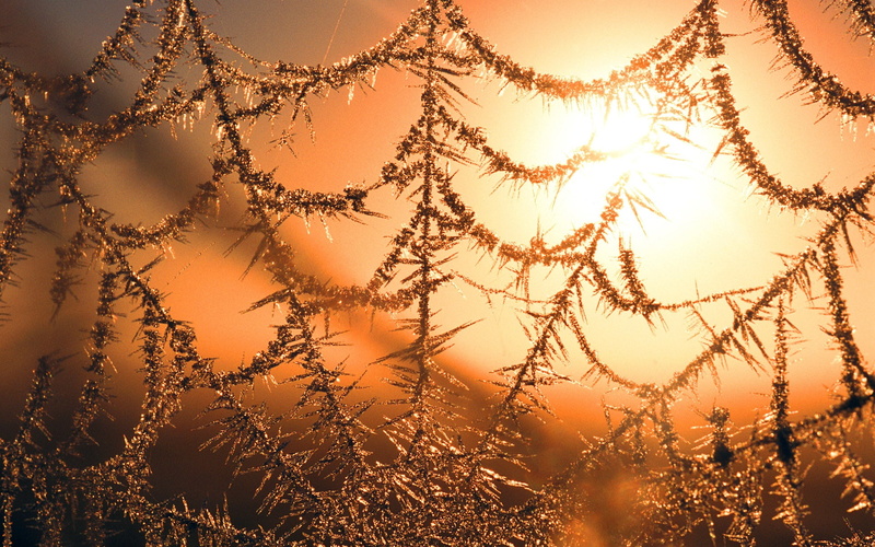 Sunset, Winter, 1080P, Cobweb