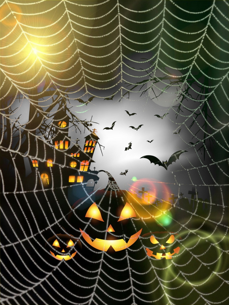 arachnid, pumpkin, close-up, witchs house, fragility, insect, pumpkins, helloween, no people, animal themes, cobweb, 2K, natural pattern, beauty in nature