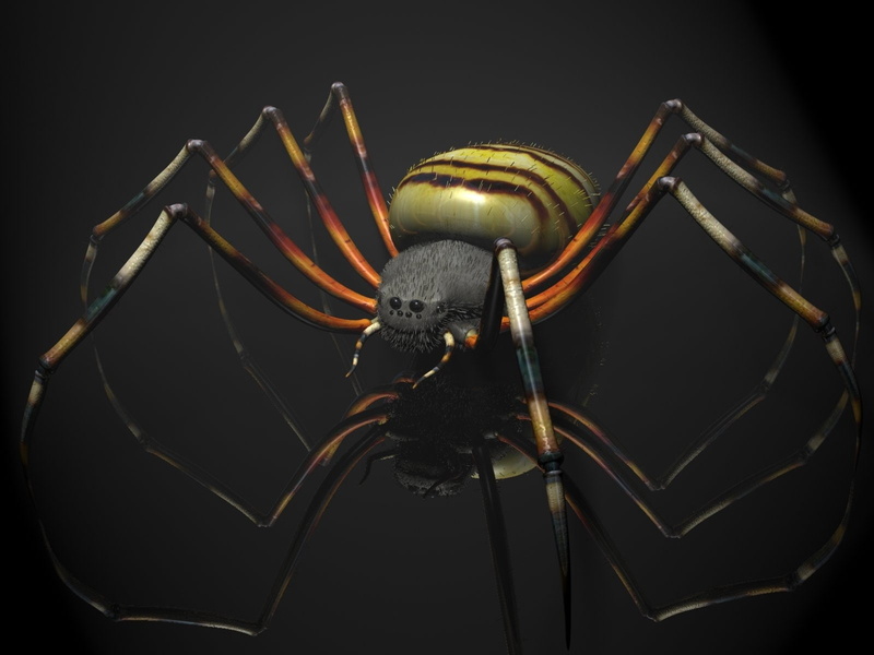 Tiger, Spiders, 3D, Spider, 720P
