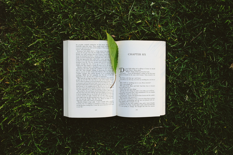 5K, growth, plant, text, literature, green Color, outdoors, grass, field, day, directly above, land, musical note, communication, no people, sheet music