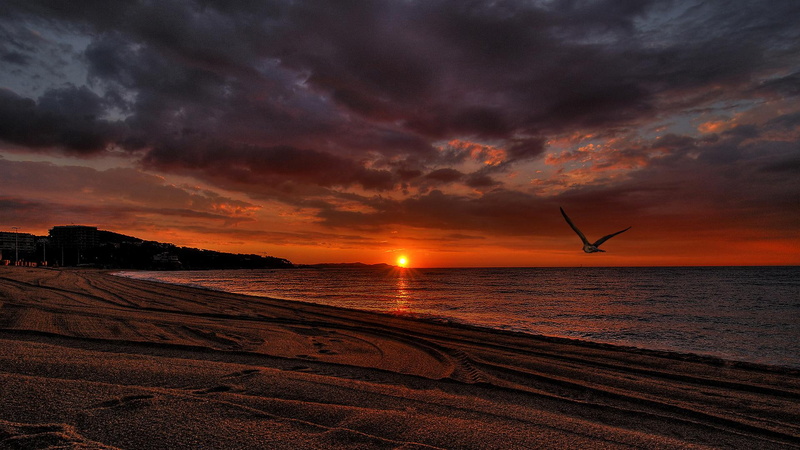 1080P, sunset, beach, beautiful, intoxicating, 3d and abstract