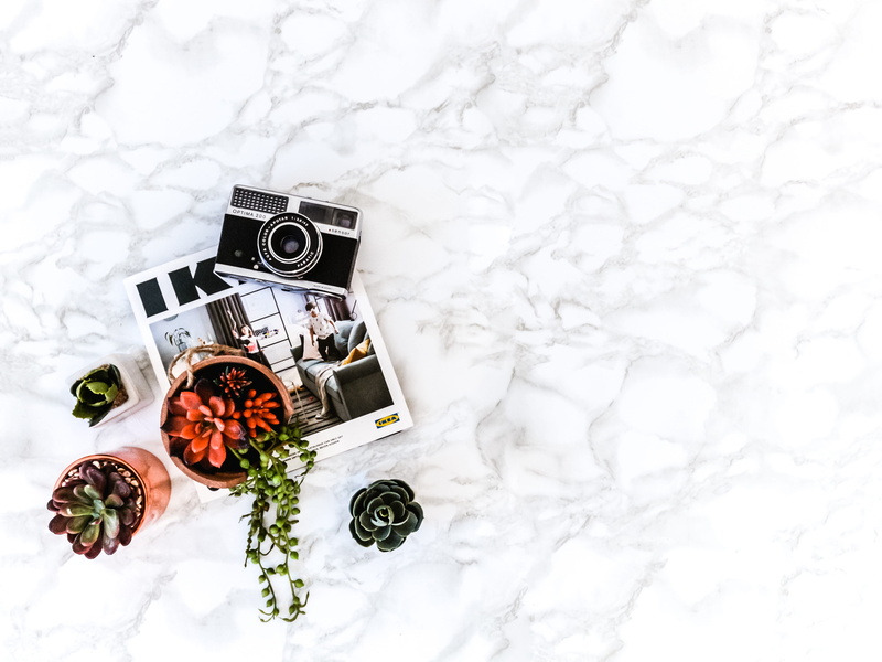 4K, rose, high angle view, snow, winter, furniture, person, beauty in nature, electronics, jar, human, camera, still life, table, succulent, cold temperature