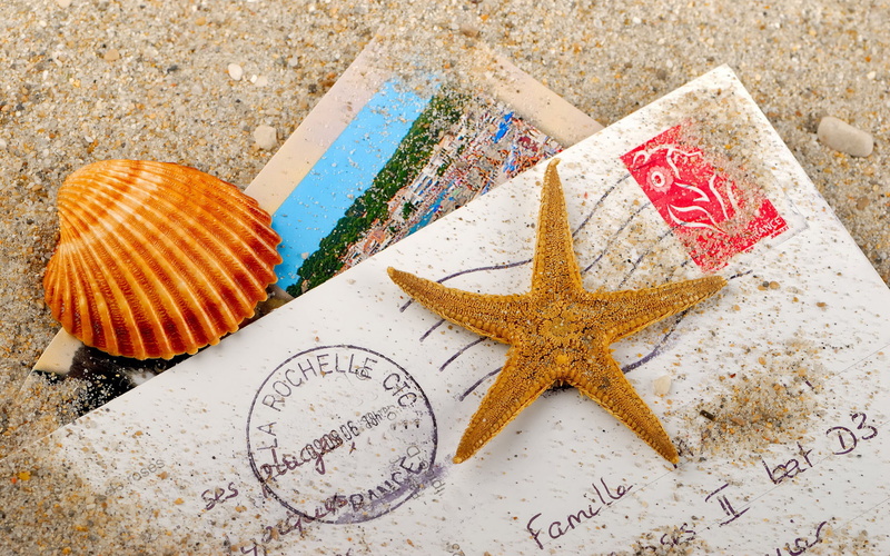 brown, sea, nature, seashell, starfish, 1080P, star Shape, outdoors, tourism, close-up, copy Space, concepts, animals in the wild, relaxation, letter