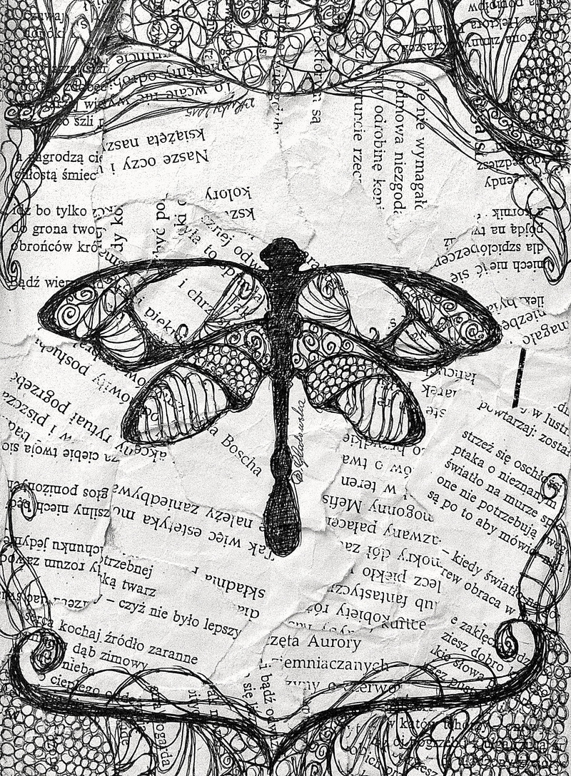 old, no people, Dragonfly, high angle view, close-up, text, creative, art and craft, pattern, page, 2K, Artistic, sketch, communication, full frame, Paper