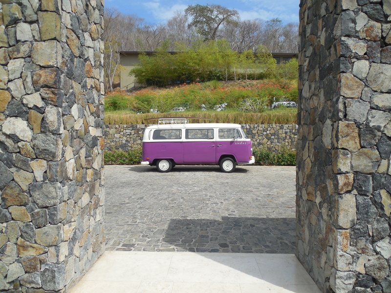 sunlight, solid, wall, flowers, car, plant, tree, nature, architecture, purple, stone, t, concrete, motor vehicle, van, parked, outdoors, travel, 4K, built structure