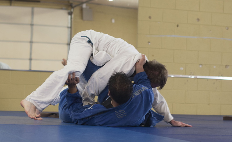 adult, group of people, togetherness, person, defending, bending, exercise, martial art, teamwork, fitness, fighting, women, indoors, judo, men, flooring