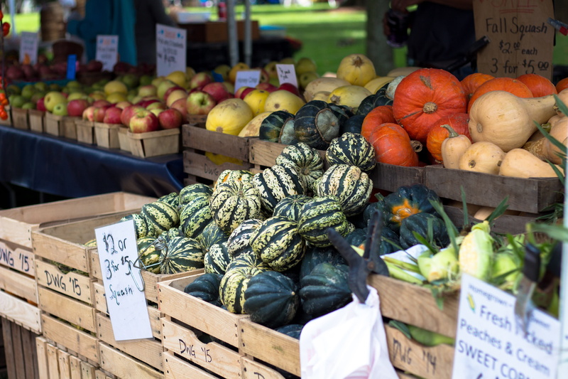 outdoors, eating, natural, organic, for sale, stall, no people, business, market stall, crats, pumpkin, assorted, box, street, cucurbita, ripe, wellbeing