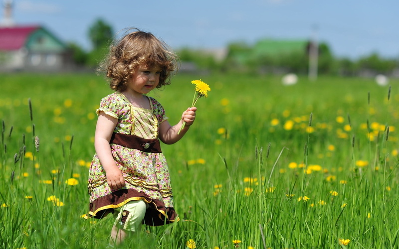 dandelion, hair, child, nature, land, focus on foreground, happiness, girl, flower, yellow, smiling, childhood, joy, 1080P, flowering plant, walk, beauty
