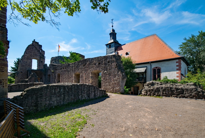 tree, hesse, the past, ruin, dreieich, plant, 5K, nature, travel destinations, middle ages, places of interest, building exterior, faith, germany, no people