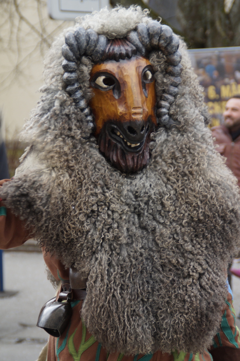 human, move, larva, looking at camera, tradition, day, haes, livestock, strassenfasnet, face, february, fools jump, goat barn, close-up, domestic, masquerade