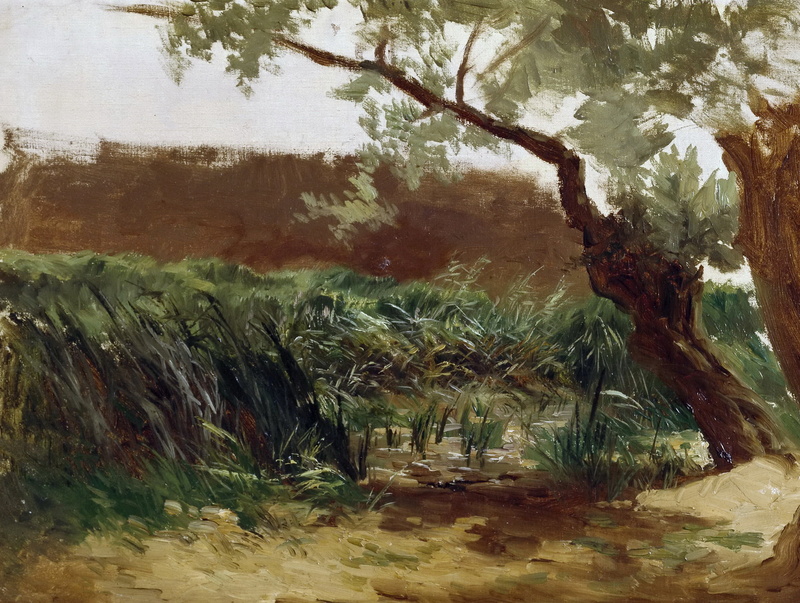 Carlos de Haes, Cattail, picture, nature, 1080P, landscape