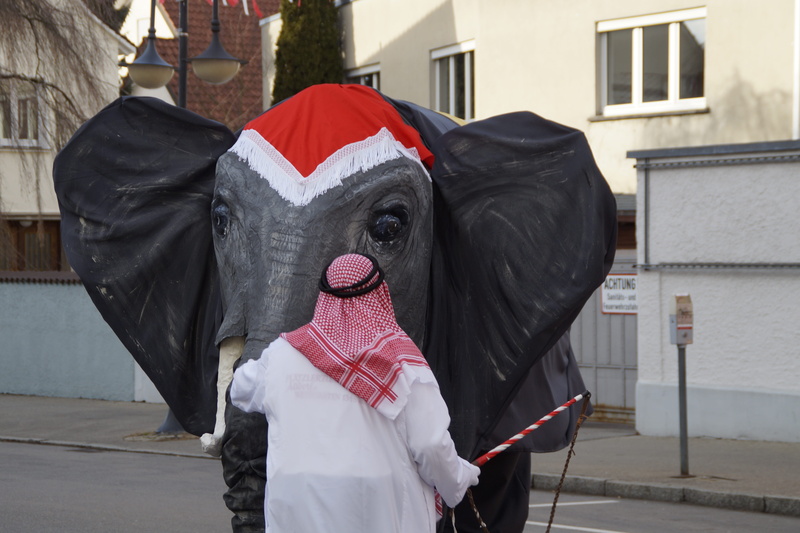 circus elephant, 5K, panel, tamer, disguise, mask, elephant, carnival parade, zany goings-on, clothing, outdoors, street carnival, masquerade, costume