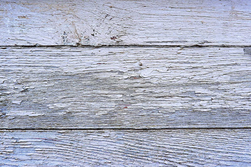 wood, animal, wood grain, 2K, dirty, close, wooden, outdoors, white color, nature, rough, textured, waterfowl, close-up, full frame, photography, fishing