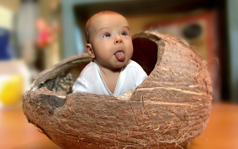 fruit, t, v, funny, s, child, baby, white, 2K, coconut, shell, kids, shirt, brown, neck