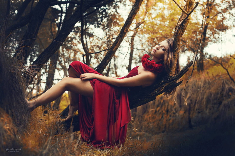 hairstyle, real people, forest, legs, red, one person, fashion, trees, lifestyles, innocence, outdoors, child, females, model, childhood, women, land, red dress