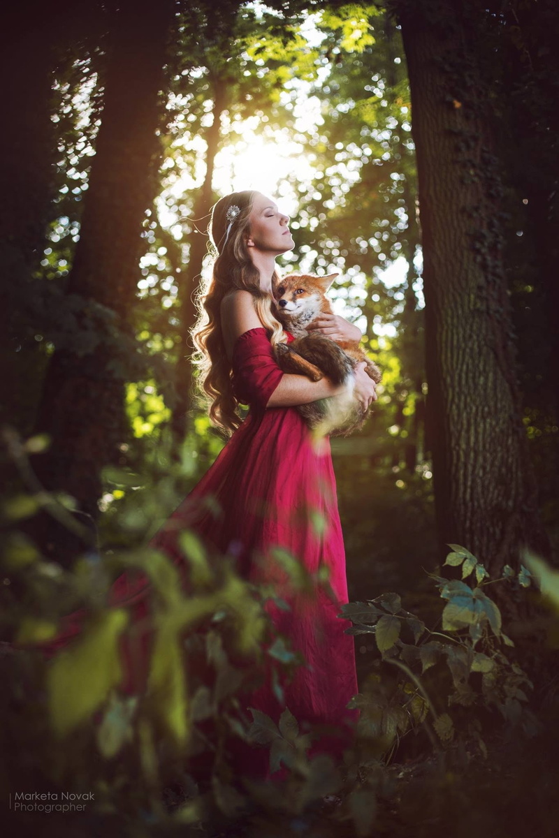 plant, woodland, land, clothing, dress, adult, outdoors, fantasy girl, nature, tree, forest, Marketa Novak, animals, beauty, fashion, fox, beautiful woman