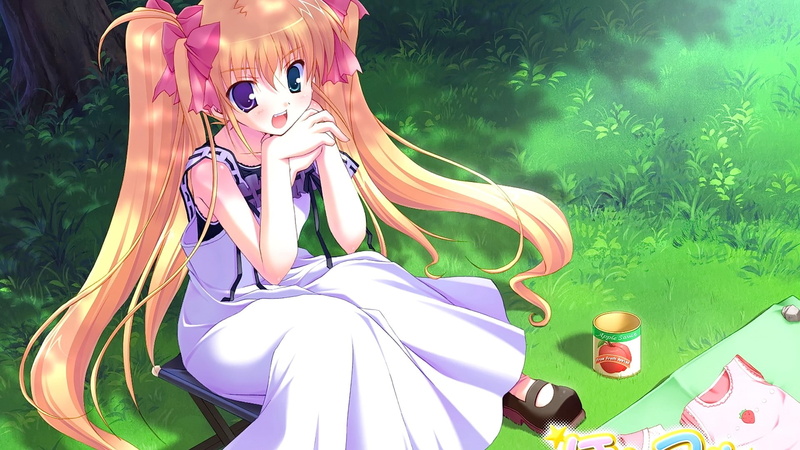 anime girls, 1080P, visual novel, picknick, Hoshiful, twintails, Hoshikawa Ruka, anime
