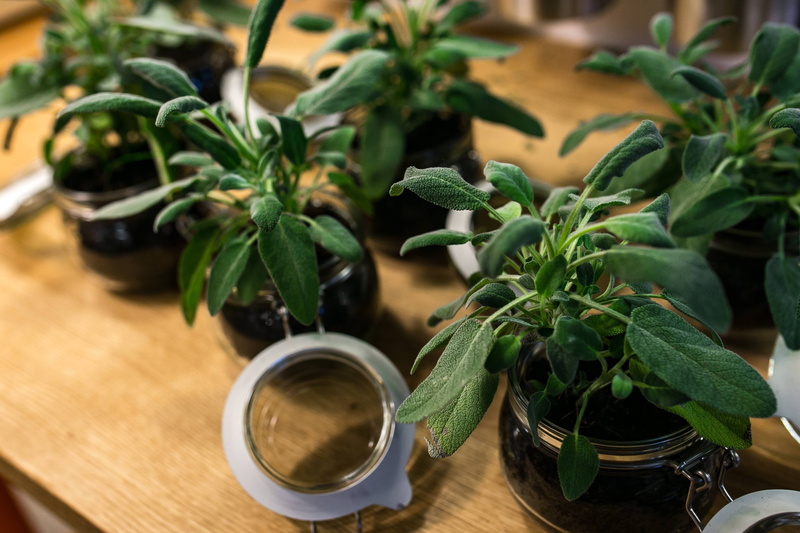 glass, table, drink, plant, leaf, indoors, flower pot, food And Drink, freshness, plant part, 2K, herb, green Color, plants, green, no people, food, healthy Eating