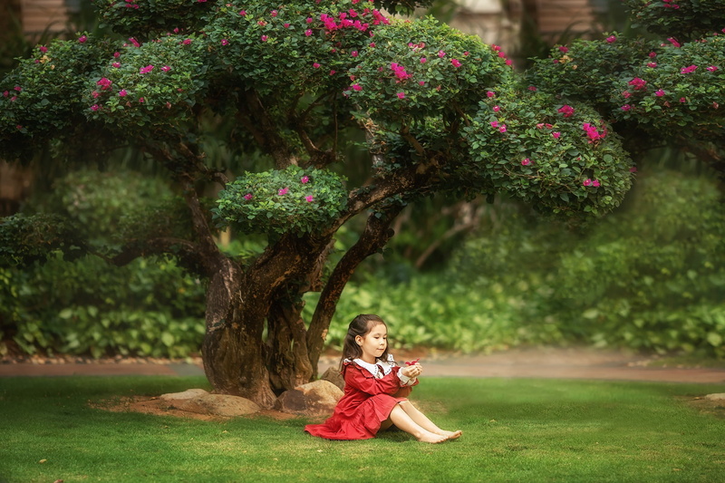 flowering, Anastasia Barmina, lawn, 1080P, grass, child, nature, girl, tree