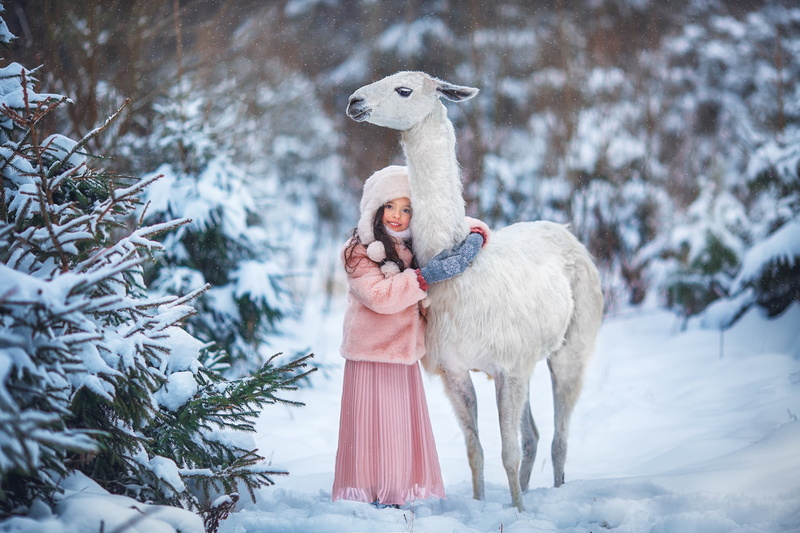 forest, friends, ate, Lama, Anastasia Barmina, girl, winter, friendship, snow, 1080P
