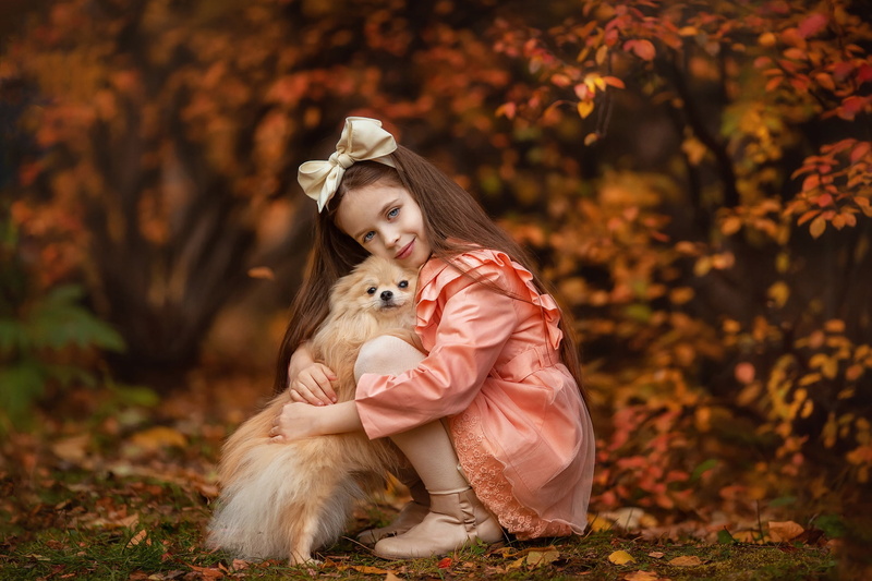 bow, bokeh, dog, friendship, long hair, autumn, girl, friends, 1080P, look, mood, Anastasia Barmina, Spitz