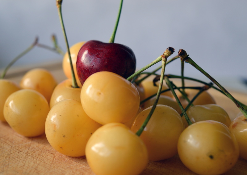 other, day, cherry, focus on foreground, harvest, healthy eating, food, close-up, 5K, summer, cherries, medium group of objects, leadership, plant, group of objects