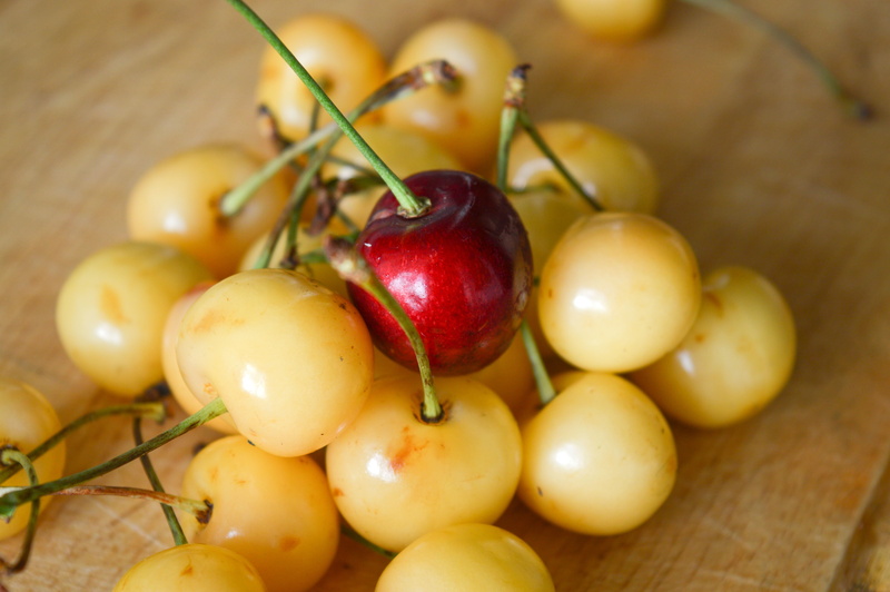 close-up, a great, large group of objects, beige, cherries, wellbeing, nature, photography, no people, selective focus, red, close, indoors, society, food